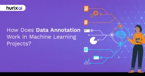 How Does Data Annotation Work in Machine Learning Projects